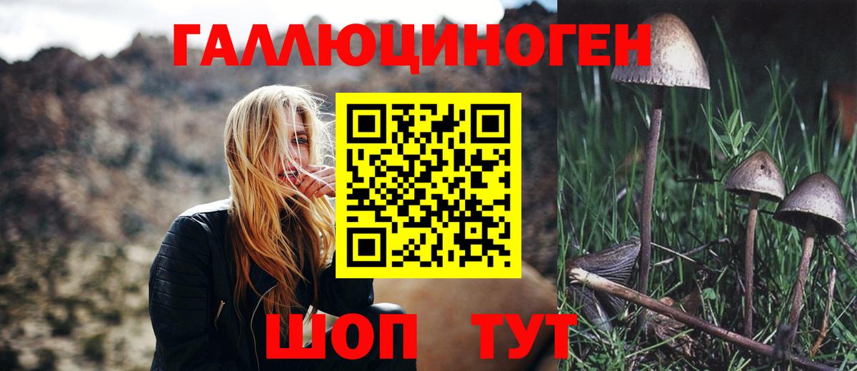 Ижевск  Галлюциногенные грибы GOLDEN TEACHER  Вход с VPN 